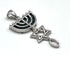 Sterling Silver With Stone of Israel Grafted In Pendant